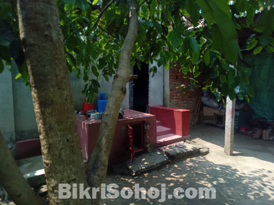 দেড়কাঠা জমিতে সেমিপাকা টিনশেড বাড়ী বিকয় হবে ।